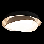 Потолочный светильник круглый черного цвета из металла Vita Cuna варинант исполнения - 1 | Loft Concept в Ульяновске