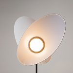 Напольный светильник Evolution 3000К 12Вт варинант исполнения - 5 | Loft Concept в Ульяновске