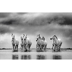 Книга Beusker. Look into my Eyes варинант исполнения - 4 | Loft Concept в Ульяновске