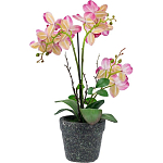 Декоративный искусственное растение Pink orchid варинант исполнения - 5 | Loft Concept в Ульяновске