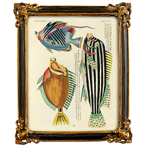 Постер в багетной раме Seabed Print 7