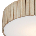 Потолочный светильник круглый светодиодный Contrasting Elements варинант исполнения - 1 | Loft Concept в Ульяновске