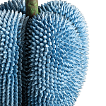 Статуэтка тропический фрукт Tropical Fruit blue варинант исполнения - 3 | Loft Concept в Ульяновске