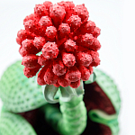 Дизайнерская статуэтка для интерьера Tropical Fruit Pandora 16 варинант исполнения - 1 | Loft Concept в Ульяновске