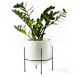 Кашпо из керамики Elevated Planters 32 варинант исполнения - 11 | Loft Concept в Ульяновске