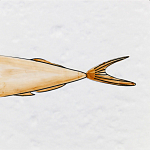 Плитка с узором Рыба Русалка варинант исполнения - 6 | Loft Concept в Ульяновске