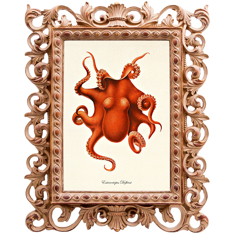 Постер Red Octopus Poster Бежевый Красный в Ульяновске | Loft Concept 