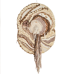 Овальный Современный Гобелен Абстракция в бежевых тонах Shallow варинант исполнения - 7 | Loft Concept в Ульяновске