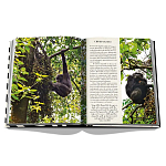 Подарочнный коллекционный фото альбом AFRICAN ADVENTURES NEW 2023 ASSOULINE HC UNBELIEVABLE ILLUSTRATIONS Safari варинант исполнения - 8 | Loft Concept в Ульяновске
