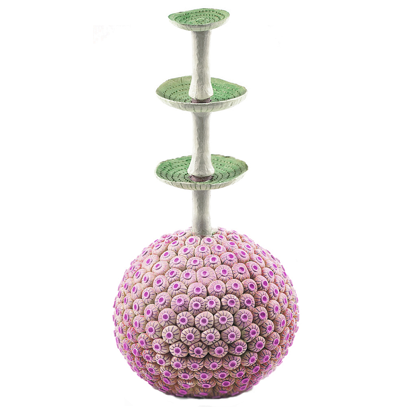 Статуэтка розовый экзотический фрукт Exotic Tropical Fruit 61 Зеленый Розовый в Ульяновске | Loft Concept 