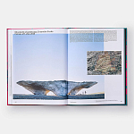 Radical Architecture of the Future варинант исполнения - 4 | Loft Concept в Ульяновске