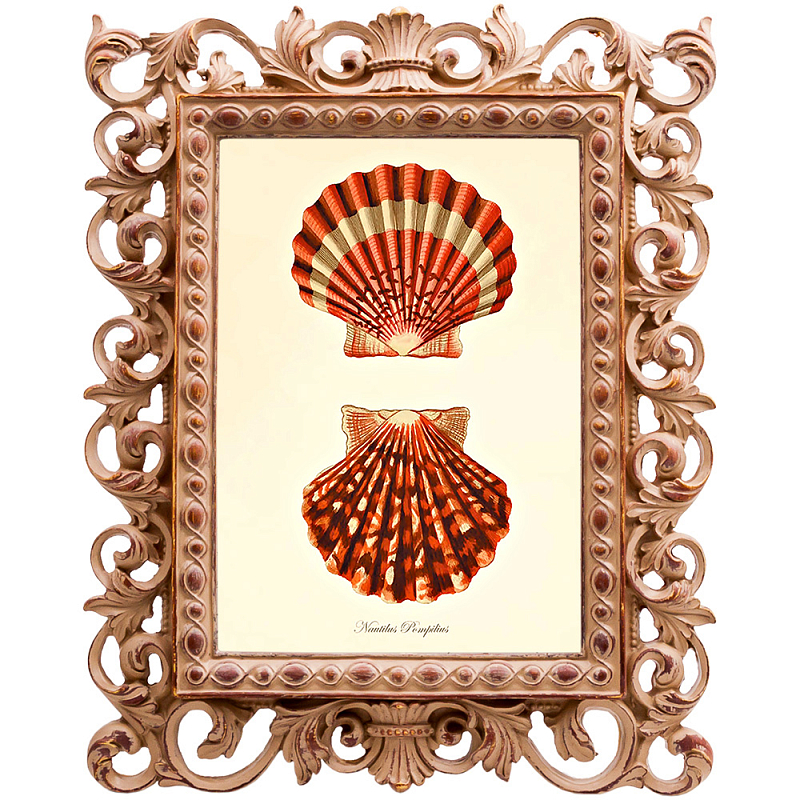 Постер Red Scallop Poster Бежевый Красный в Ульяновске | Loft Concept 