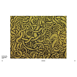 Редкое подарочное издание Yayoi Kusama: 1945 to Now варинант исполнения - 7 | Loft Concept в Ульяновске