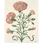 Книга цветов 22 постера Maria Sibylla Merian: 22 Pull-Out Posters варинант исполнения - 4 | Loft Concept в Ульяновске