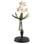 Статуэтка Wonderboom варинант исполнения - 1 | Loft Concept в Ульяновске