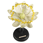 Статуэтка Tilia варинант исполнения - 1 | Loft Concept в Ульяновске