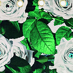 Штора Seletti Roses варинант исполнения - 1 | Loft Concept в Ульяновске