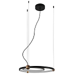 Люстра подвесная светодиодная черный металл Ring Horizontal варинант исполнения - 2 | Loft Concept в Ульяновске