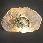 Бра Декоративный лист с стрекозой Glacial Fragment варинант исполнения - 2 | Loft Concept в Ульяновске