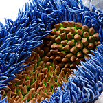 Дизайнерская статуэтка для интерьера Tropical Fruit Pandora 12 варинант исполнения - 3 | Loft Concept в Ульяновске