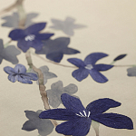 Обои ручная роспись Cherry Tree Original colourway on Stone Ochre dyed silk варинант исполнения - 3 | Loft Concept в Ульяновске