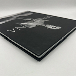 Коллекционная редкая книга Madonna: Nudes + by Martin H.M. Schreiber 2017 Букинистика варинант исполнения - 4 | Loft Concept в Ульяновске