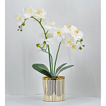 Декоративный искусственное растение Lush Orchid варинант исполнения - 2 | Loft Concept в Ульяновске
