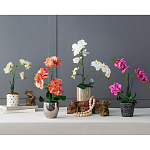 Декоративный искусственное растение Pink orchid варинант исполнения - 11 | Loft Concept в Ульяновске