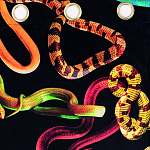 Штора Seletti Snakes Black варинант исполнения - 1 | Loft Concept в Ульяновске