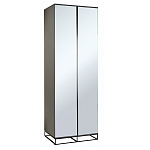 Двухдверный шкаф с зеркальными дверцами Strict Lines варинант исполнения - 1 | Loft Concept в Ульяновске