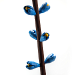 Синий экзотический фрукт статуэтка для интерьераTropical Fruit Pandora 9 варинант исполнения - 2 | Loft Concept в Ульяновске