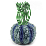 Статуэтка экзотический фрукт Exotic Tropical Fruit Green and Blue 64 варинант исполнения - 1 | Loft Concept в Ульяновске