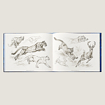 Лимитированная подарочная книга HERMES Fierce and Fragile book, English version варинант исполнения - 4 | Loft Concept в Ульяновске