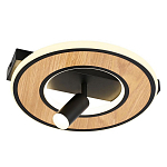 Потолочный светильник круглый GAVIN WOOD варинант исполнения - 1 | Loft Concept в Ульяновске