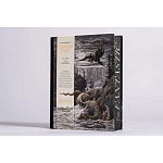 Книга Fantastic Gustave Dore варинант исполнения - 3 | Loft Concept в Ульяновске