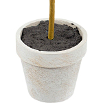 Декоративный искусственное растение Boxwood One варинант исполнения - 3 | Loft Concept в Ульяновске