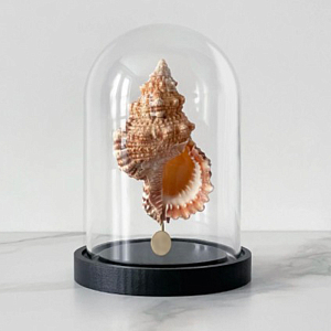 Статуэтка Bursa Rubeta Glass Cloche