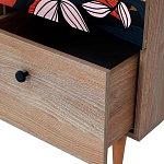 Шкаф с принтом Kario варинант исполнения - 3 | Loft Concept в Ульяновске