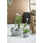 Кашпо A collection of baby rabbits варинант исполнения - 4 | Loft Concept в Ульяновске