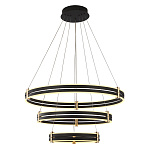 Люстра светодиодная с 3-мя плафонами в форме колец из акрила и алюминия с пультом для регулировки света Ring Horizontal Anthracite варинант исполнения - 1 | Loft Concept в Ульяновске