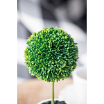 Декоративный искусственное растение Boxwood One варинант исполнения - 8 | Loft Concept в Ульяновске