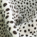 Мебельная ткань Искусственный мех  белый леопард 90 см T5-3 варинант исполнения - 1 | Loft Concept в Ульяновске