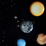 Блюдо Seletti Sun варинант исполнения - 6 | Loft Concept в Ульяновске