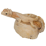 Статуэтка из дерева ящерица Animals of the World варинант исполнения - 2 | Loft Concept в Ульяновске