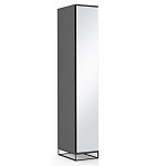 Шкаф-пенал с зеркальной дверцей и фасадом цвета графит Strict Lines варинант исполнения - 2 | Loft Concept в Ульяновске