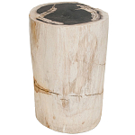 Стул из окаменелого дерева Petrified Wood варинант исполнения - 1 | Loft Concept в Ульяновске