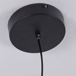 Люстра подвесная светодиодная черный металл Ring Horizontal варинант исполнения - 6 | Loft Concept в Ульяновске