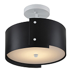 Потолочный светильник круглый светодиодный Semicircular White Panels чёрный варинант исполнения - 2 | Loft Concept в Ульяновске