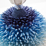 Статуэтка Синий тропический фрукт Tropical Fruit Pandora 4 варинант исполнения - 1 | Loft Concept в Ульяновске