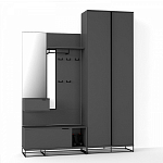 Двухдверный шкаф цвета графит Strict Lines варинант исполнения - 4 | Loft Concept в Ульяновске